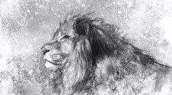Handgetekende leeuw_21624715_ds